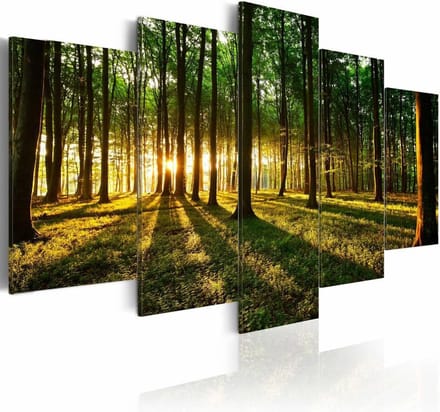 Schilderij - Avontuur in het Bos, 5luik , bruin groen , premium print op canvas