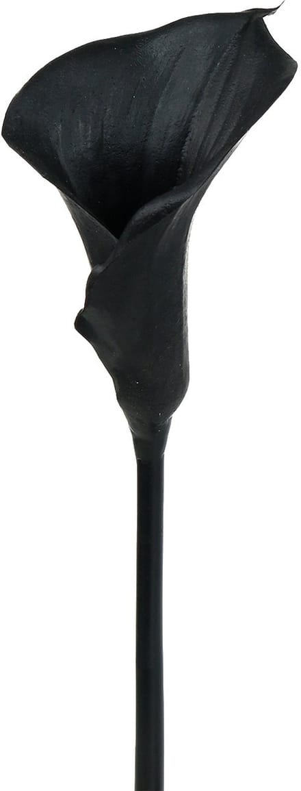 Deco Calla Zwart 75cm