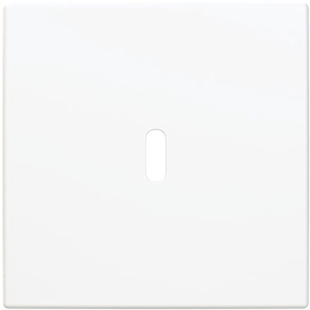 Busch-Jaeger Centrale plaat USB-laadstation 1-voudig met USB C-aansluiting alpinewit - Busch-balance® SI (6479-914), 2CKA006400A0441
