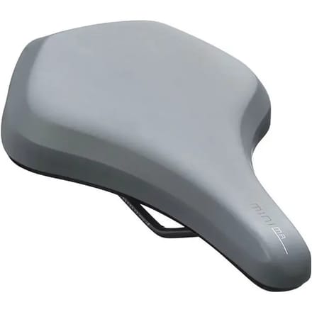 Zadel Newton Roy Minima