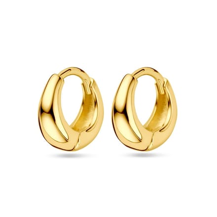 Zilver Verguld (Geel) Klapoorringen 11.5 Mm 1 Micron 2103677