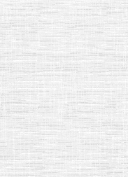 Erismann Vinylbehang 536701 - RollOver27 - Overschilderbaar Wit - 106cm x 25,00m