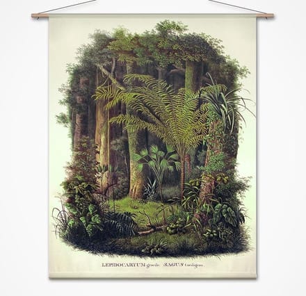 Wandkleed-XL Palmen in amazone oerwoud