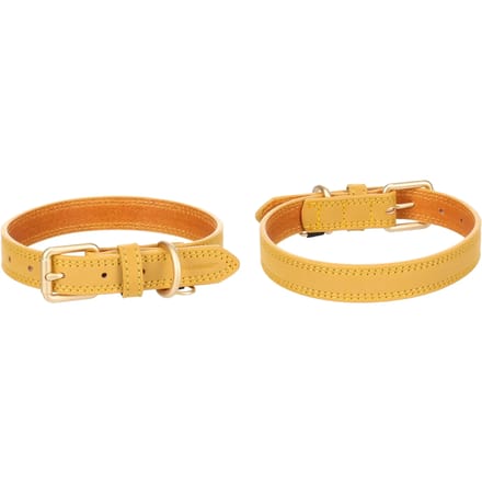 Flamingo - Hond Halsband Virginia Geel M / L 38-48cm 25mm