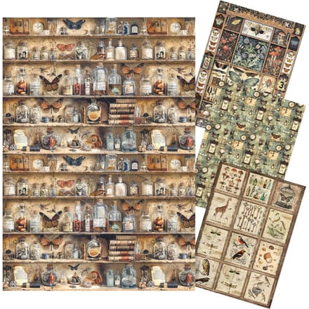 Motief strozijde assortiment "Cabinet of Curiosities", set van 4
