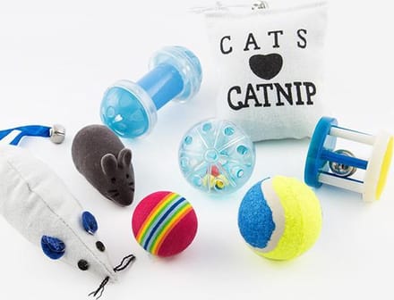 Kattenspeeltjes