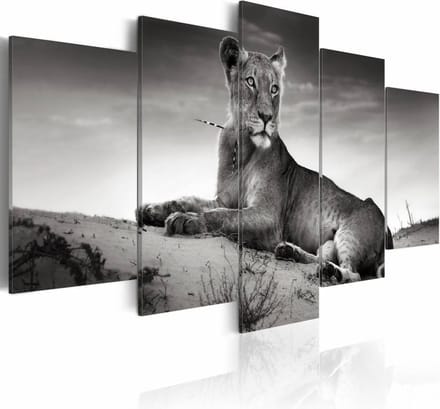 Schilderij - Leeuwin in de Woestijn, Zwart/Wit, wanddecoratie, Print op Canvas , 5luik