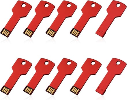 USB Flash Drives - Geheugensticks - Data Opslag - Sleutelvorm - 5.7 cm - Rood