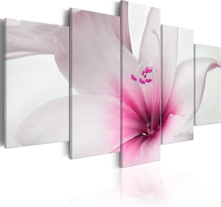 Schilderijen Op Canvas - Schilderij - Amarylis: Pink Charm 100x50 - Artgeist Schilderij