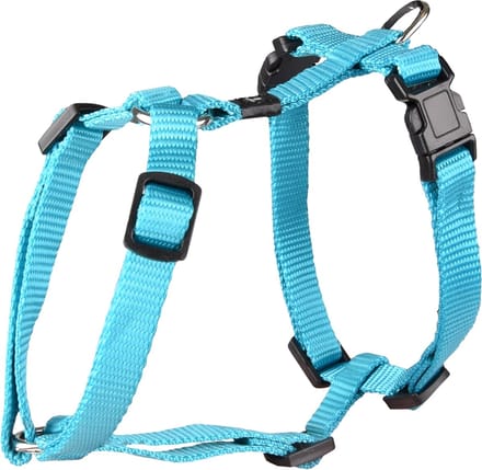 Flamingo - H-Harness Ziggi - Turqoise - 25-40cm - 10mm