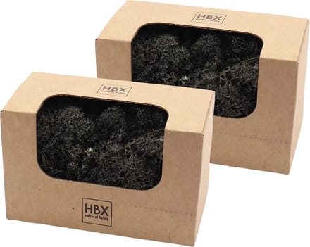 HBX Natural Living Decoratie mos - zwart - 100 gram - rendiermos - hobby