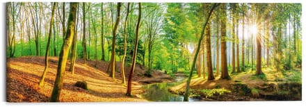 Schilderij Zonnig bos - 40 x 118 - Hout - REINDERS