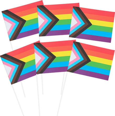 Boland - Set 6 papieren zwaaivlaggen Progress - Regenboog - Regenboog