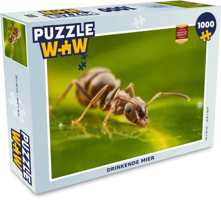 Puzzel Mier - Blad - Regenwater - Legpuzzel - Puzzel 1000 stukjes volwassenen