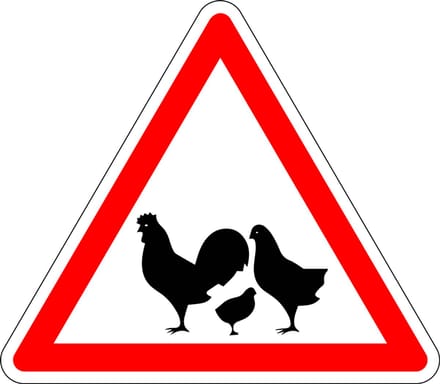 Pas op voor kippen bord - kunststof 300 mm