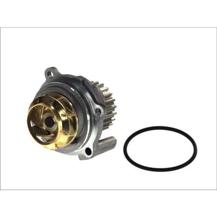 Waterpomp HEPU P545