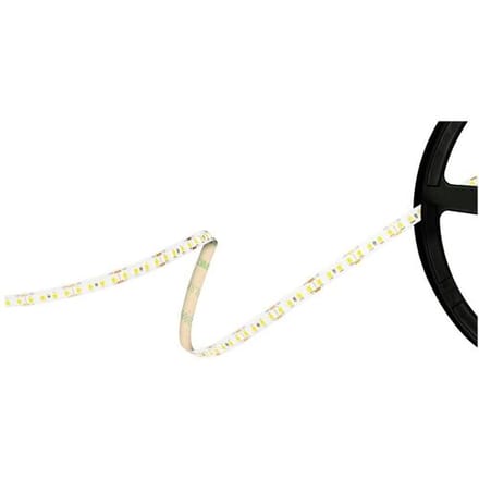 Barthelme 51541433 LED-strip 12 V 5000 mm Wit 5 m