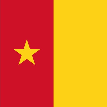 Vlag Kameroen 50x75cm