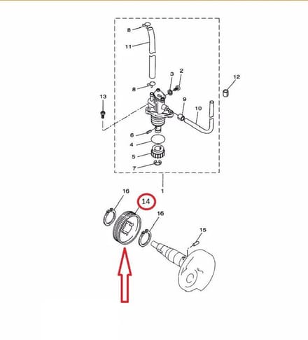 Oliepomptandwiel TNT voor Scooter MBK 50 Ovetto 3VL-E3178-00 Nieuw