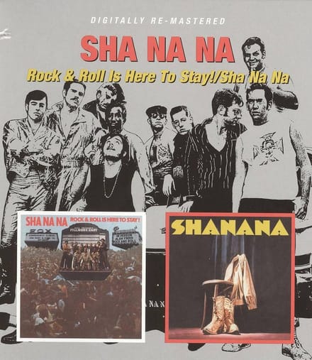 Rock & Roll Is Here To  Stay!/Sha Na Na