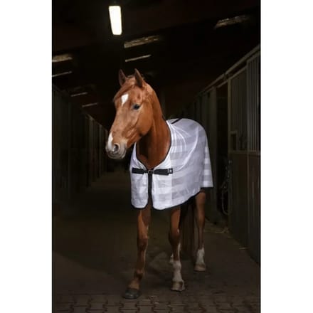Paardenhemd Riding World Mesh 0g