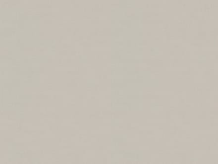 Zambaiti Vinylbehang Z54512 - Fuksas - Uni Zilver - 70cm x 10.05m