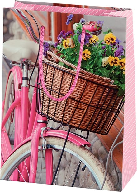 SUSY CARD cadeautas Bicycle