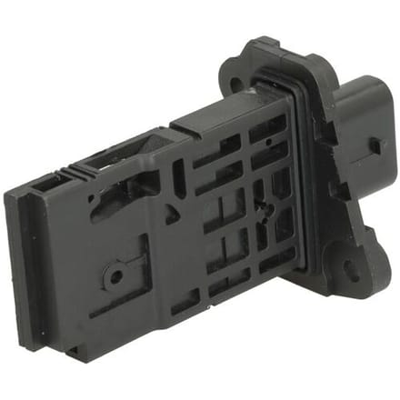 Luchtstroommeter DELPHI AF10738-12B1