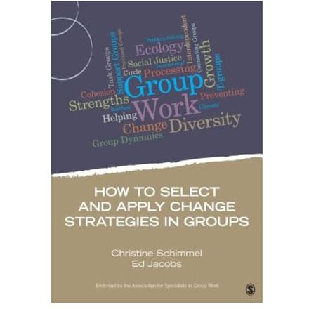 How To Select And Apply Change Strategies In Groups - Schimmel