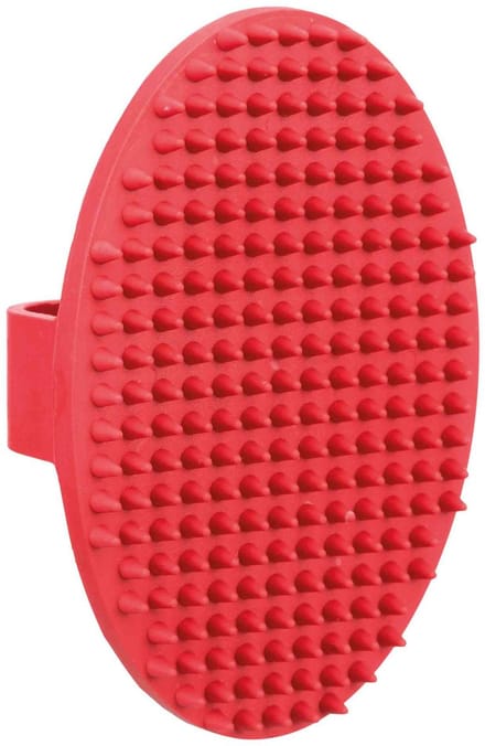 Borstel met rubbernoppen
