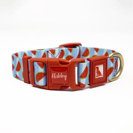 Luxe Halsband voor Honden-Verstelbaar 27 Cm-39 Cm x 2,5 Cm-Watermelon
