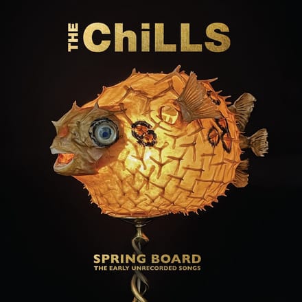 Chills - Spring Board: The Early Recordings (2 LP)