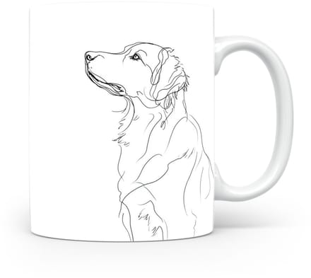 Beker Nova Scotia Duck Tolling Retriever