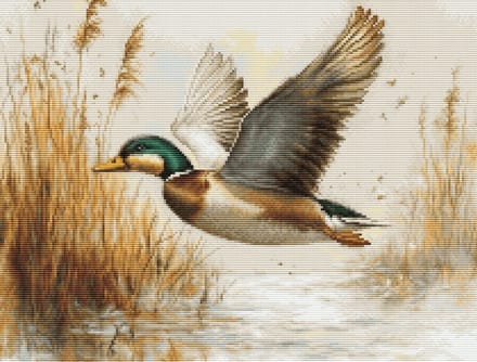 Borduurpakket Luca-S - Golden Flight - Gouden Vlucht - B730