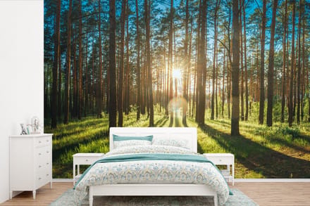 Behang - Fotobehang Zon - Bomen - Landschap - Gras - Breedte 600 cm x hoogte 400 cm