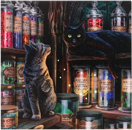 Something Different Canvas afbeelding Magical Emporium Light Up by Lisa Parker Multicolours