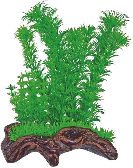 Superfish nano wood garden nr 1