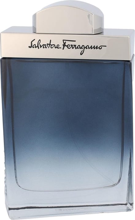 Herenparfum Salvatore Ferragamo EDT Subtil Pour Homme 100 ml