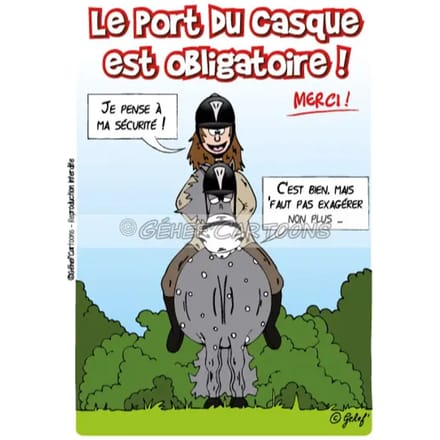 Humoristische helm plaquette Fr8Man