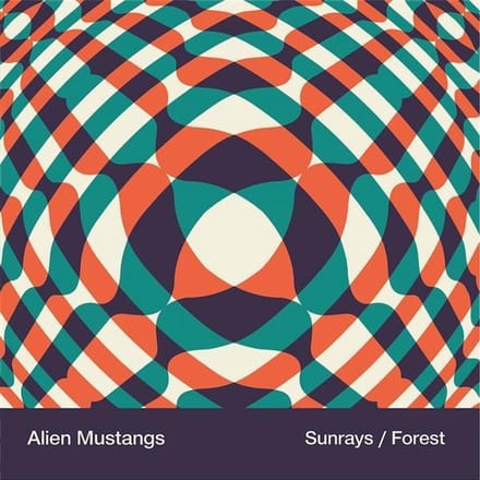 Sunrays/Forest