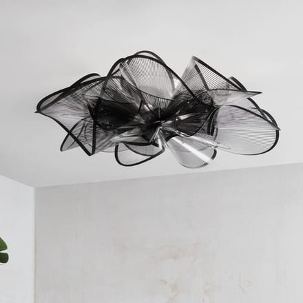 SLAMP La Belle Etoile Wand-/ Plafondlamp Zwart
