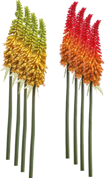 Emerald - Kunstbloem Kniphofia 85cm - Set van 8 - Kunstplant voor binnen