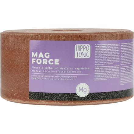 Paard zoutsteen Hippotonic Magforce