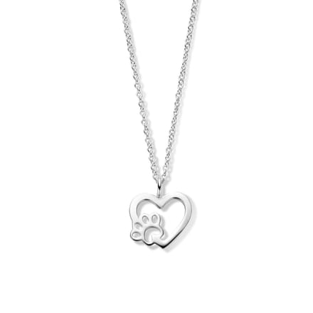 Collier hart hondenpoot 41 + 4 cm