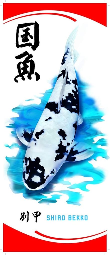 koi vlag Bekko