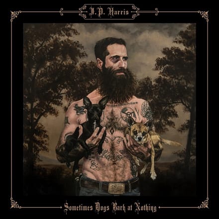 J.P. Harris - Sometimes Dogs Bark At Nothing (LP)