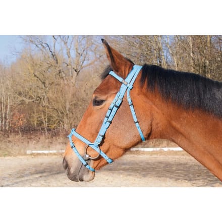 Hoofdstellen T de T Biotack®