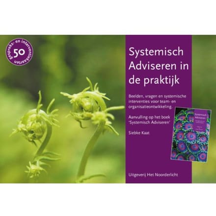 Systemisch Adviseren In De Praktijk - Siebke Kaat