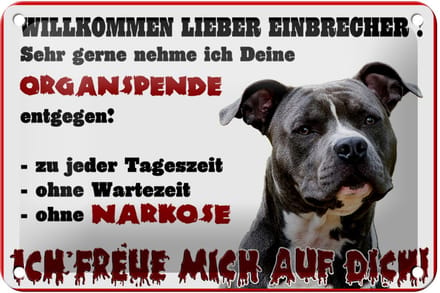 Blechschild Hinweis 18x12cm Hund Willkommen Einbrecher