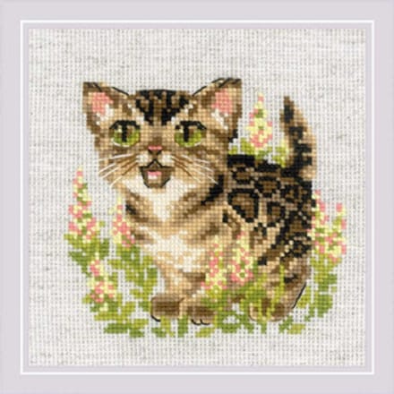 Borduurpakket - Bengal Kitten - Telpakket